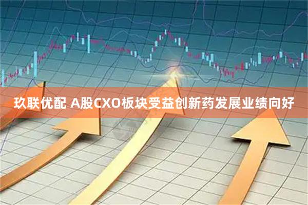 玖联优配 A股CXO板块受益创新药发展业绩向好