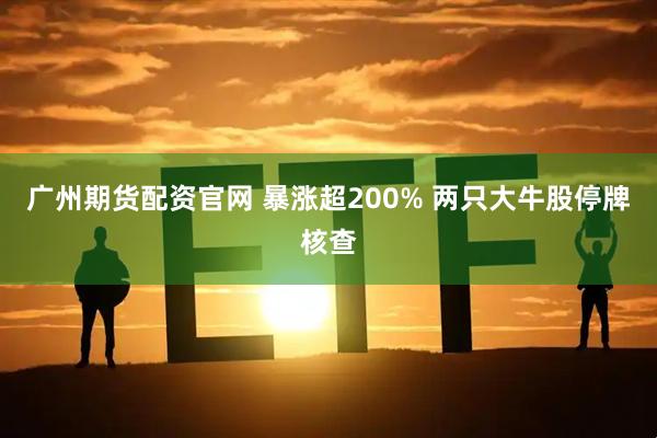 广州期货配资官网 暴涨超200% 两只大牛股停牌核查
